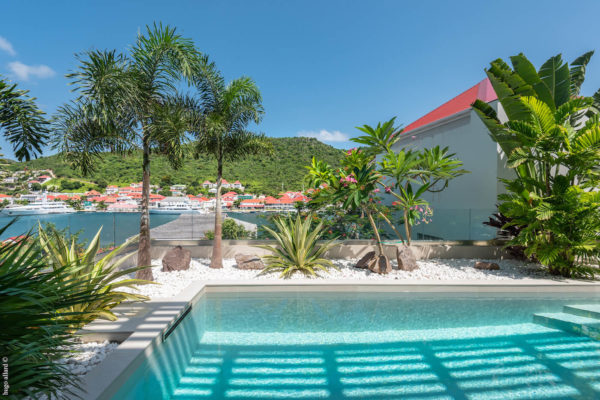 apt-gustavia-harbor-piscine-1